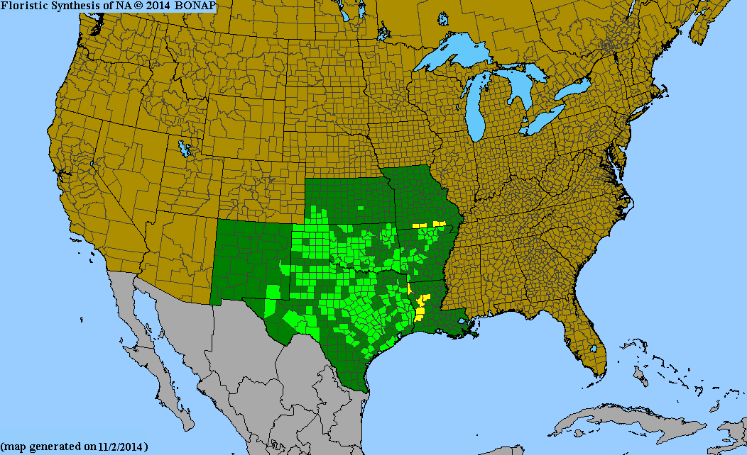 County distribution map of Eriogonum longifolium var. longifolium - Long-Leaf Wild Buckwheat